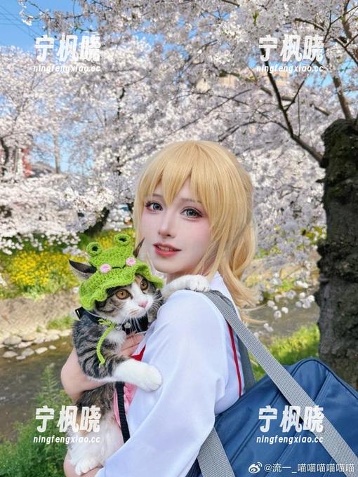 流一_喵喵喵喵喵喵的少女合集，别再犹豫了，甚至是免费的哦！