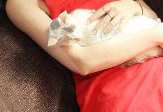 青豆客 – 找寻王婉悠的私拍资源，哈哈，这位女神好像能把我吃掉